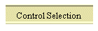 Control Selection